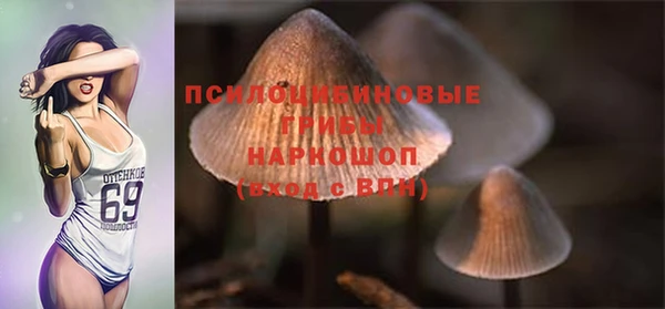 молекула духа Володарск