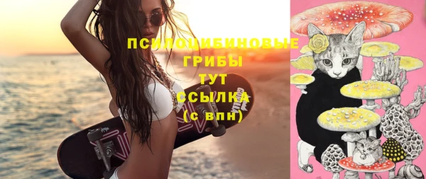молекула духа Володарск