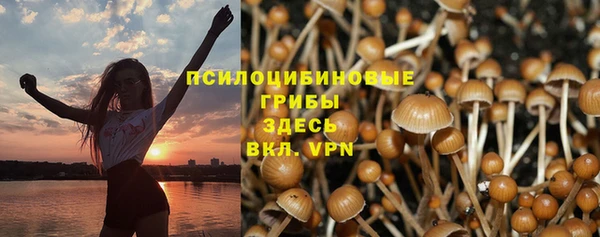 твердый Волосово