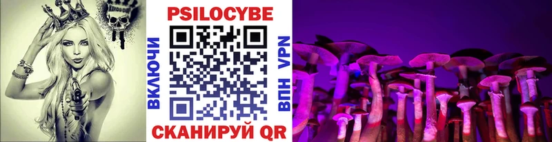 продажа наркотиков  Павловская  Псилоцибиновые грибы MAGIC MUSHROOMS 